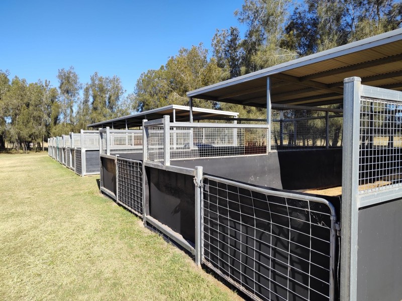 41 Main Green Swamp Road, Spring Creek QLD 4343