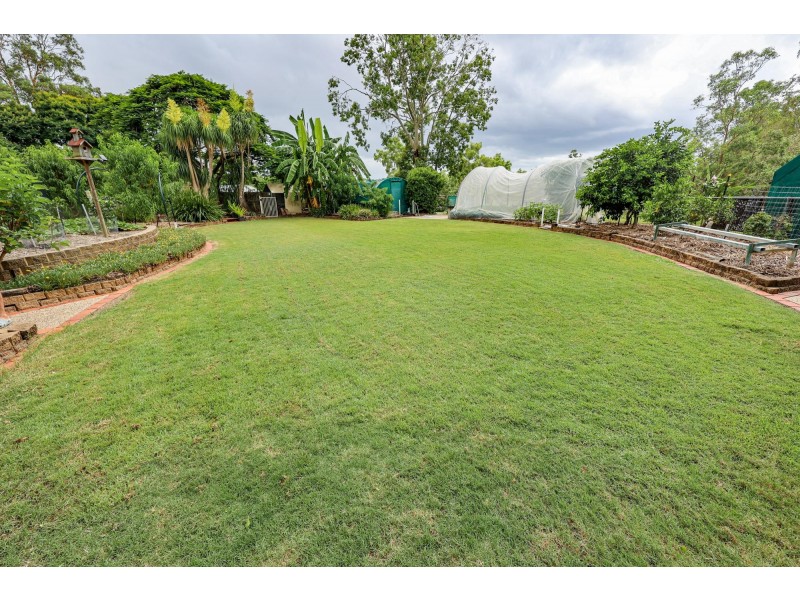 41 Pioneer Crescent, Bellbowrie QLD 4070