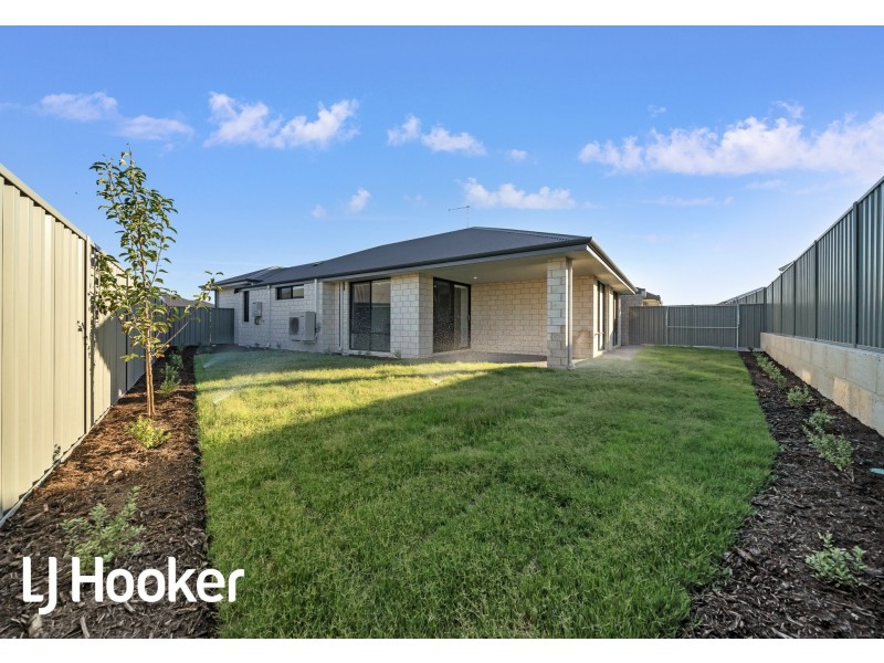 31 Gambier Grove, Eglinton WA 6034