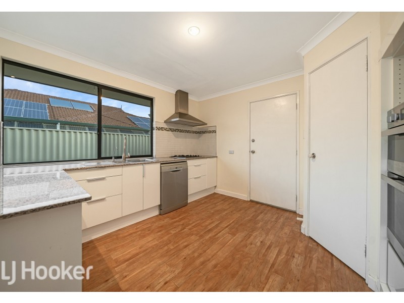 36 Wadhurst Road, Butler WA 6036