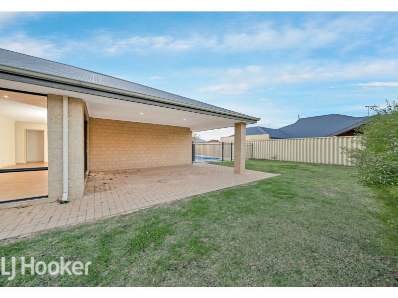 36 Wadhurst Road, Butler WA 6036