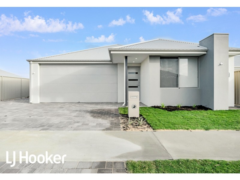 3 Elderflower Way, Alkimos WA 6038