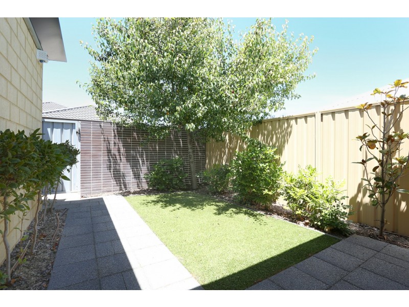 6 Malvern Road, Butler WA 6036