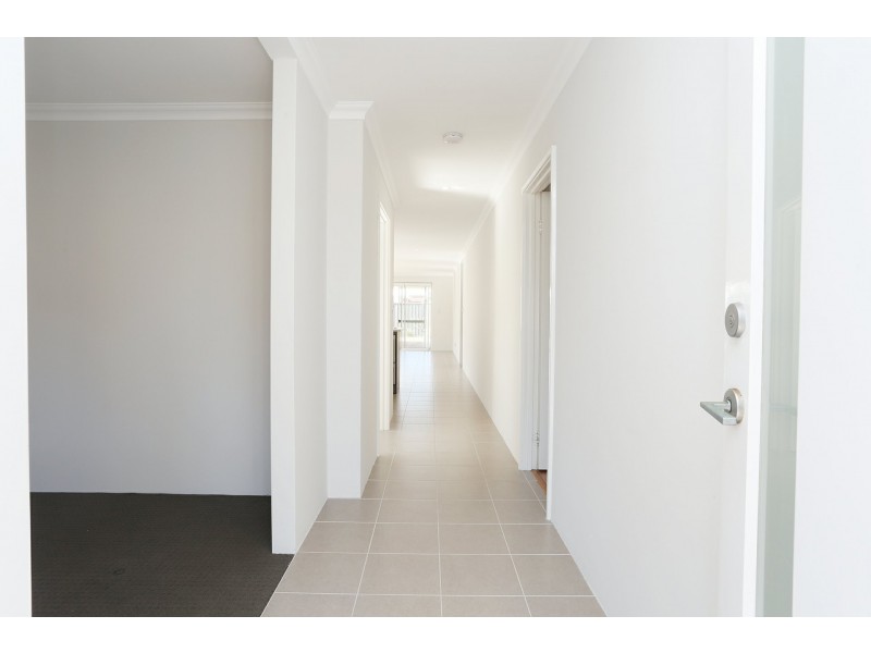 164 Grandis Boulevard, Banksia Grove WA 6031