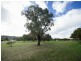 148 Craigie Drive, Craigie WA 6025