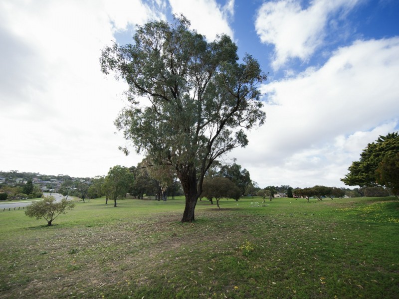 148 Craigie Drive, Craigie WA 6025