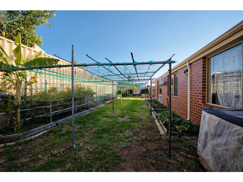 28 Gausson Turn, Ashby WA 6065