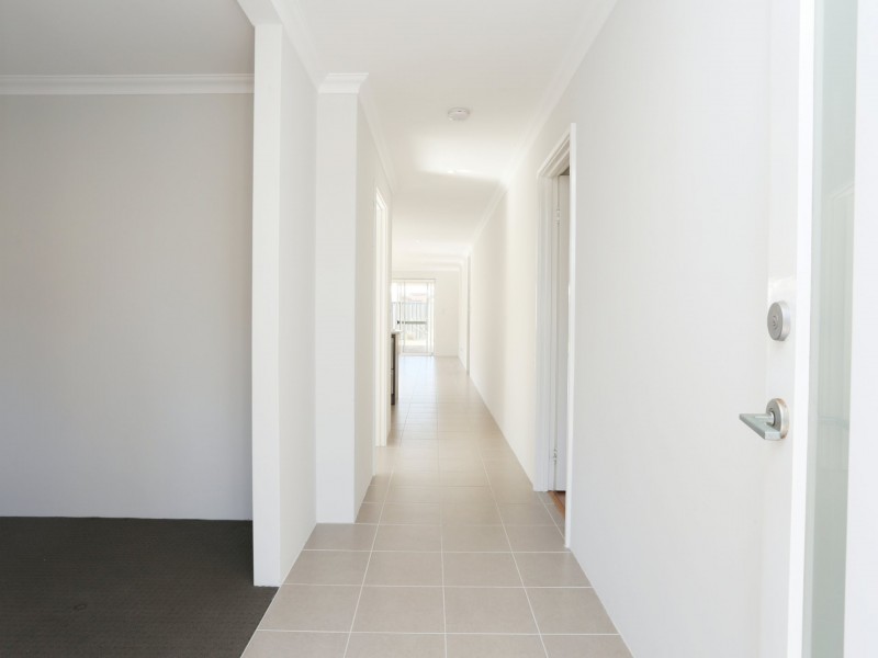 164 Grandis Boulevard, Banksia Grove WA 6031