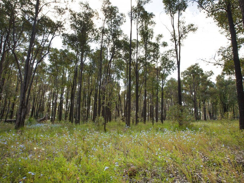 105 Princess Road, Mount Helena WA 6082