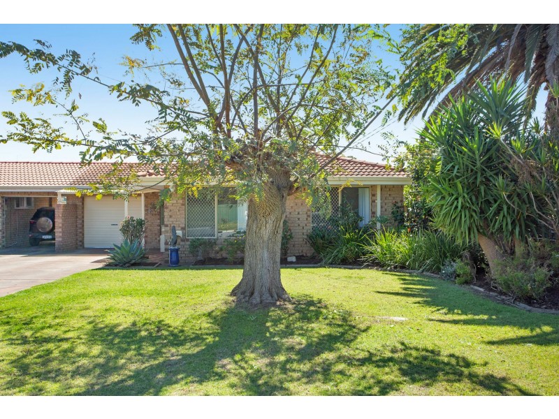 3B Napier Road, Marangaroo WA 6064