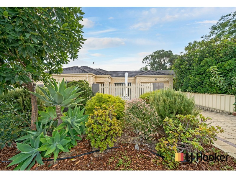 9a Myindee Way, Nollamara WA 6061