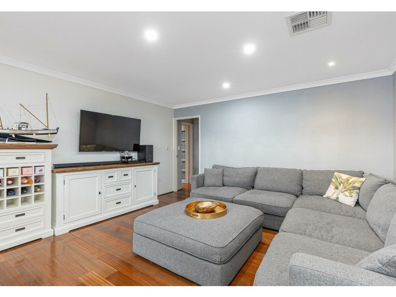 19 Wiltshire Entrance, Butler WA 6036