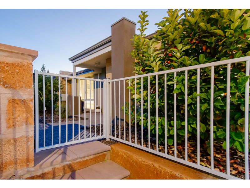 3/24 Porrecta Link, Banksia Grove WA 6031