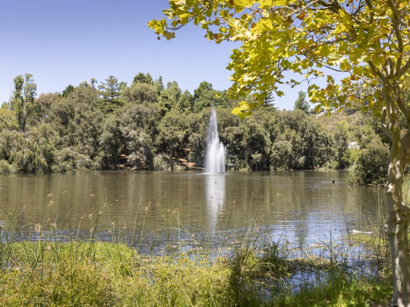 301/112 Mounts Bay Road, Perth WA 6000