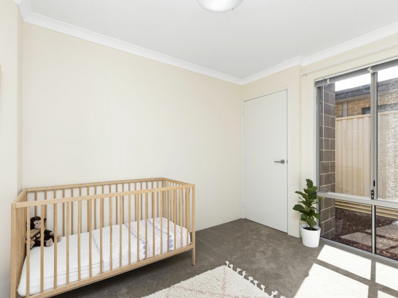 25 Carmathen Avenue, Butler WA 6036
