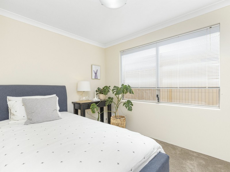 25 Carmathen Avenue, Butler WA 6036