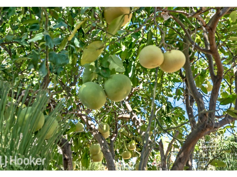 55 Castlefern Way, Duncraig WA 6023