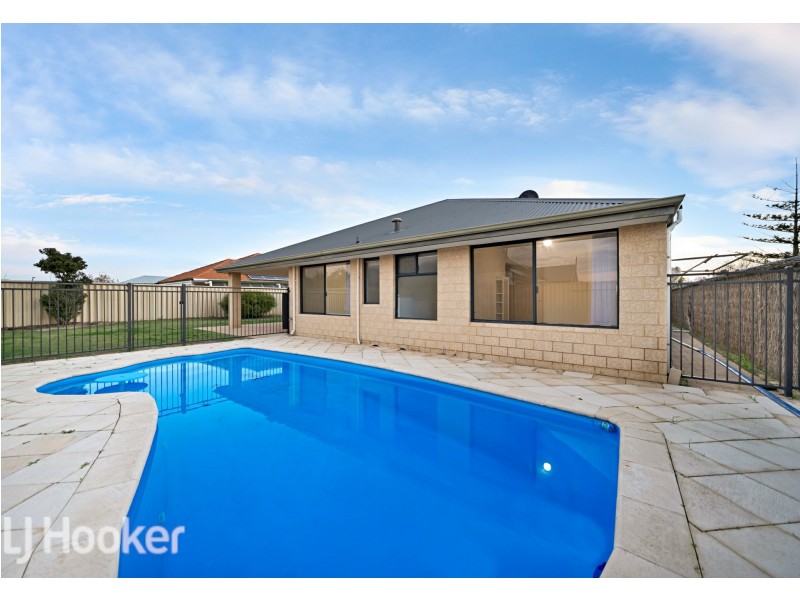 36 Wadhurst Road, Butler WA 6036