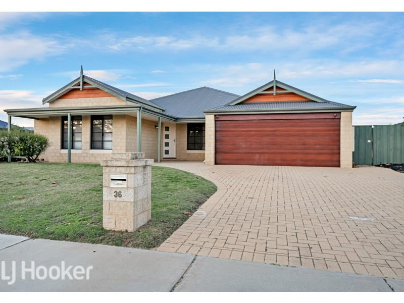 36 Wadhurst Road, Butler WA 6036