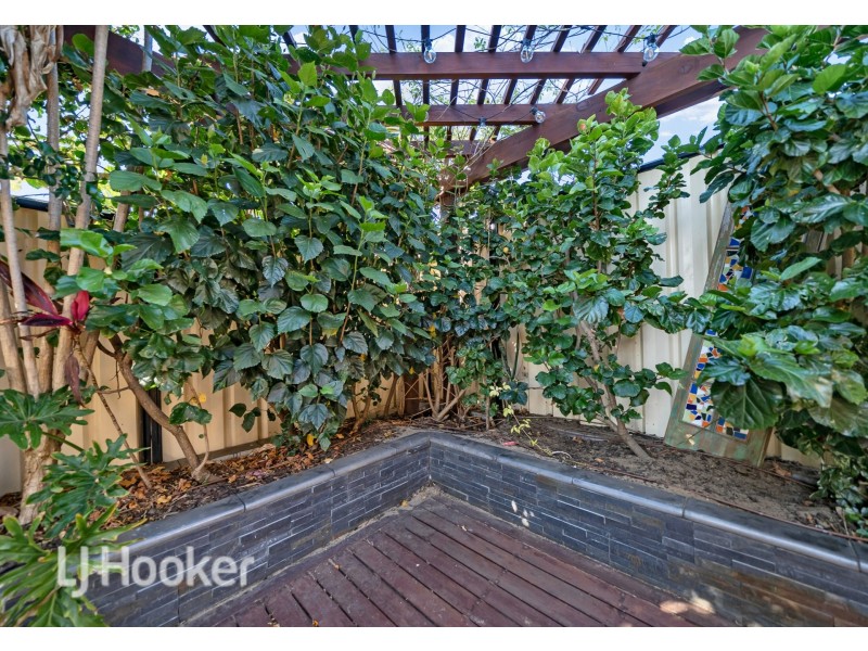 25 Grandoak Drive, Clarkson WA 6030