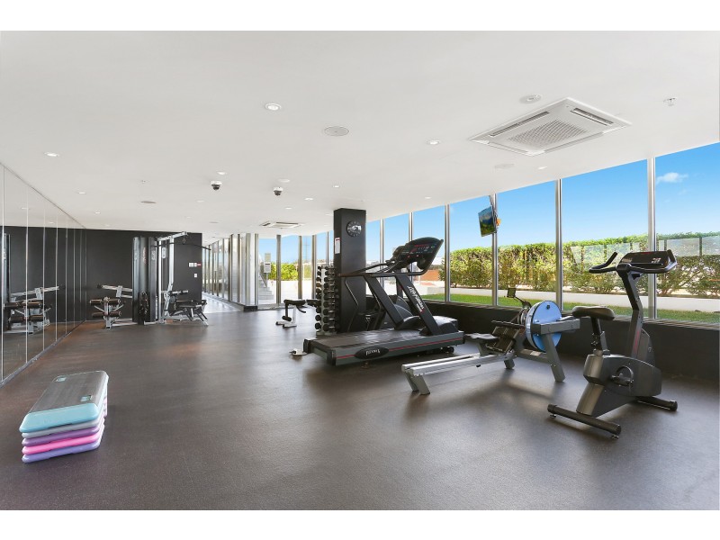 503/80 Ebley Street, Bondi Junction NSW 2022