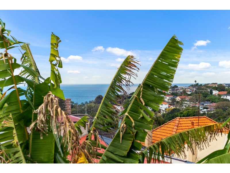 16 Henrietta Street, Waverley NSW 2024