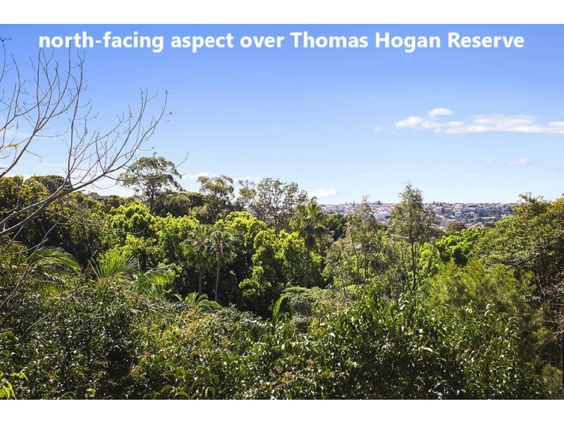 17 Martins Avenue, Bondi NSW 2026