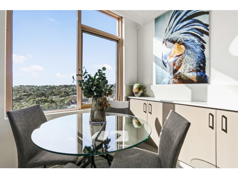 503/81 Grafton Street, Bondi Junction NSW 2022