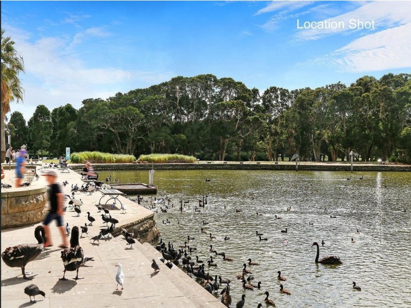 12/19 Pine Street, Randwick NSW 2031