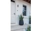 7 Harris Street, Balmain NSW 2041