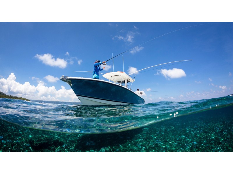 Strathfield NSW 2135