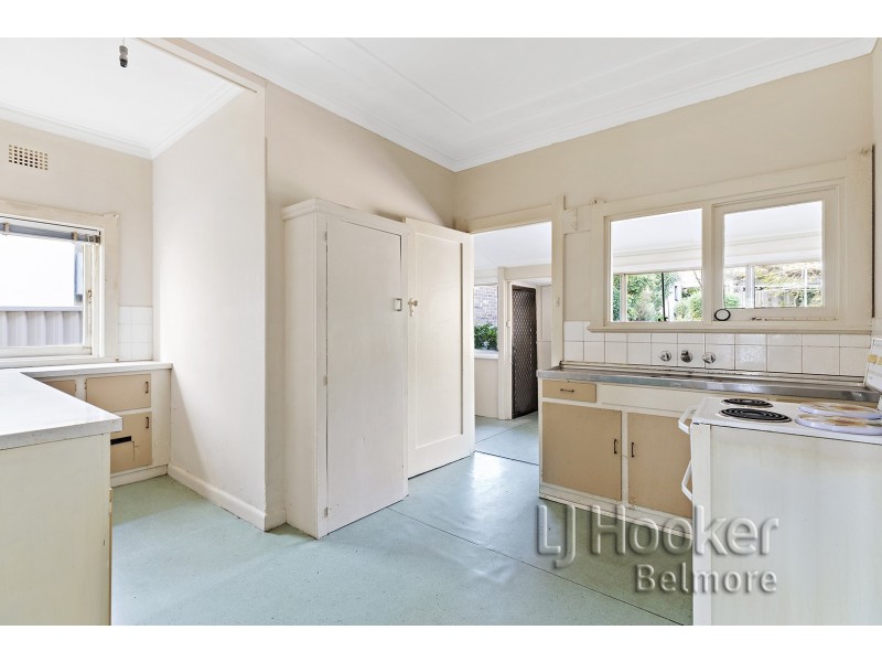 25 Mount Lewis Avenue, Punchbowl NSW 2196