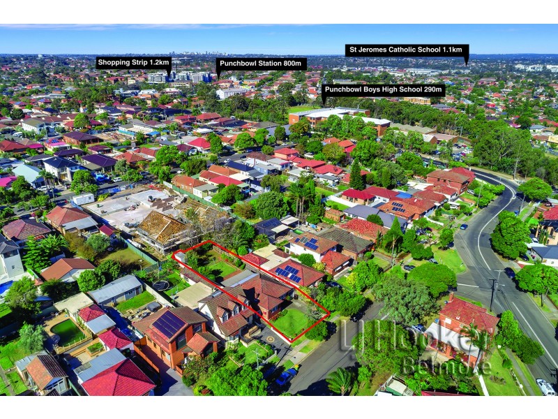 25 Mount Lewis Avenue, Punchbowl NSW 2196