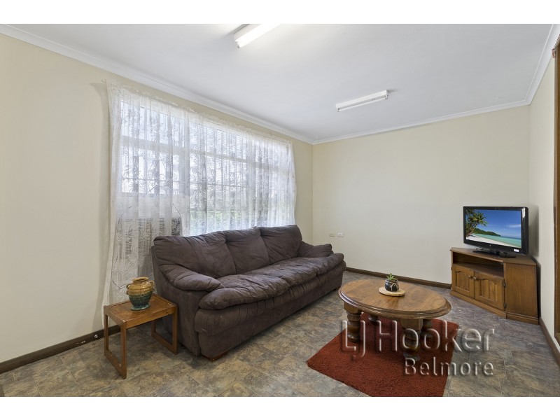 53 Tudor Street, Belmore NSW 2192