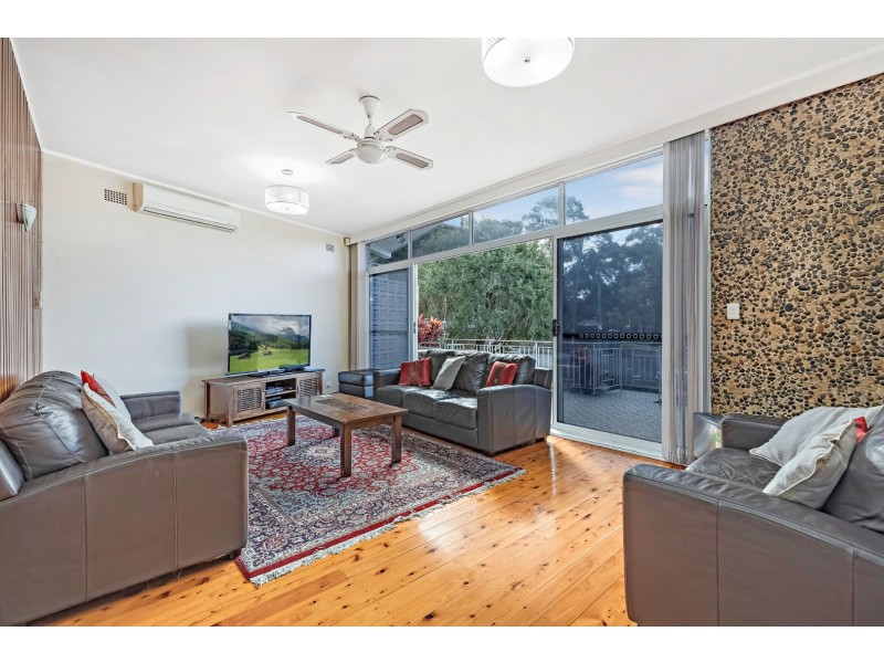 56 Cave Road, Strathfield NSW 2135