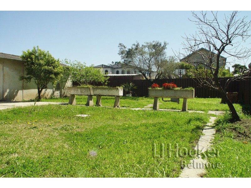 29 Collins Street, Belmore NSW 2192