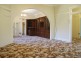 29 Collins Street, Belmore NSW 2192