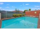 19 Eleanor Avenue, Belmore NSW 2192