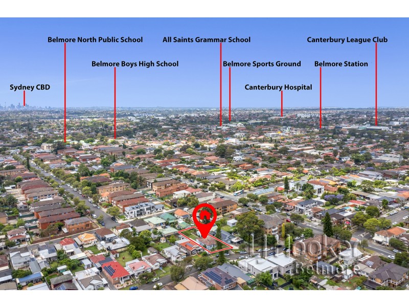 3 Vivienne Avenue, Lakemba NSW 2195