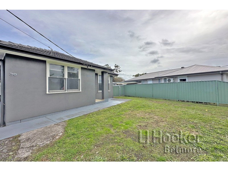 30 Brown Street, Chester Hill NSW 2162