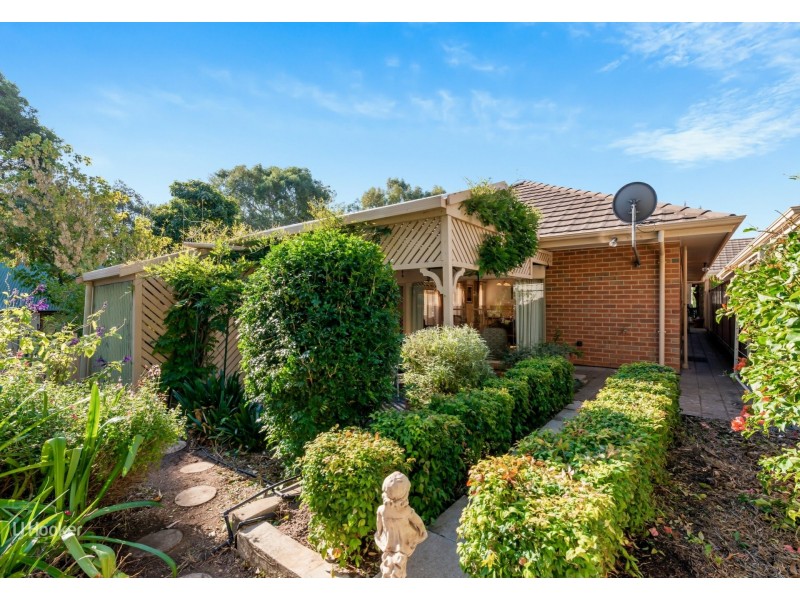 10 Thirkell Ave, Beaumont SA 5066