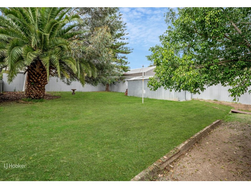 239 Prospect Road, Prospect SA 5082