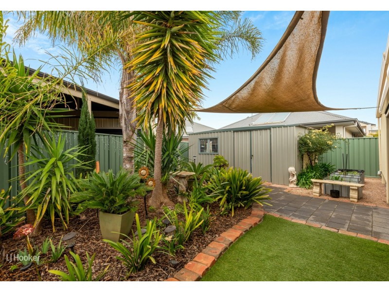 5 Empress Court, Mawson Lakes SA 5095