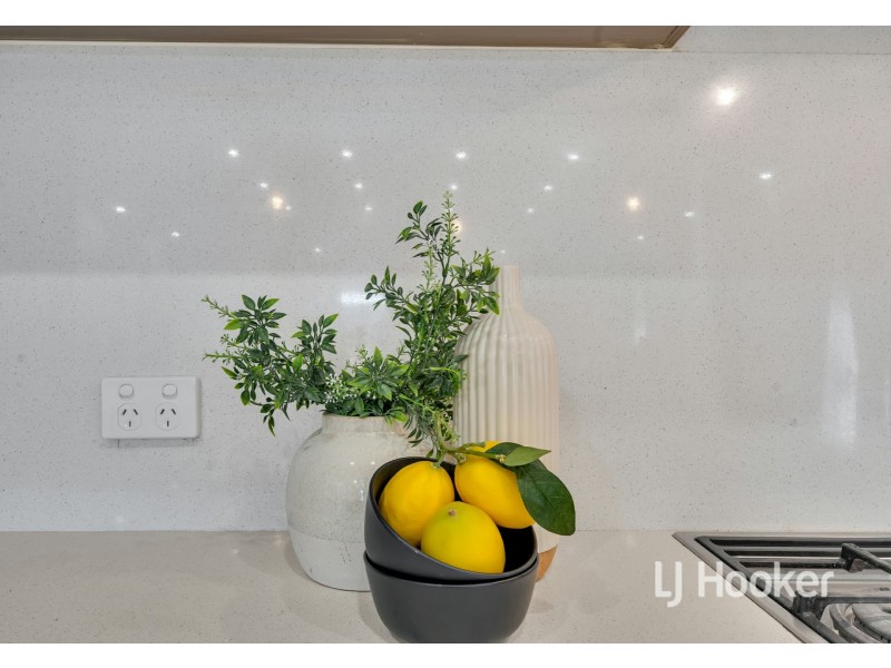 25 Nelson Crescent, Mawson Lakes SA 5095