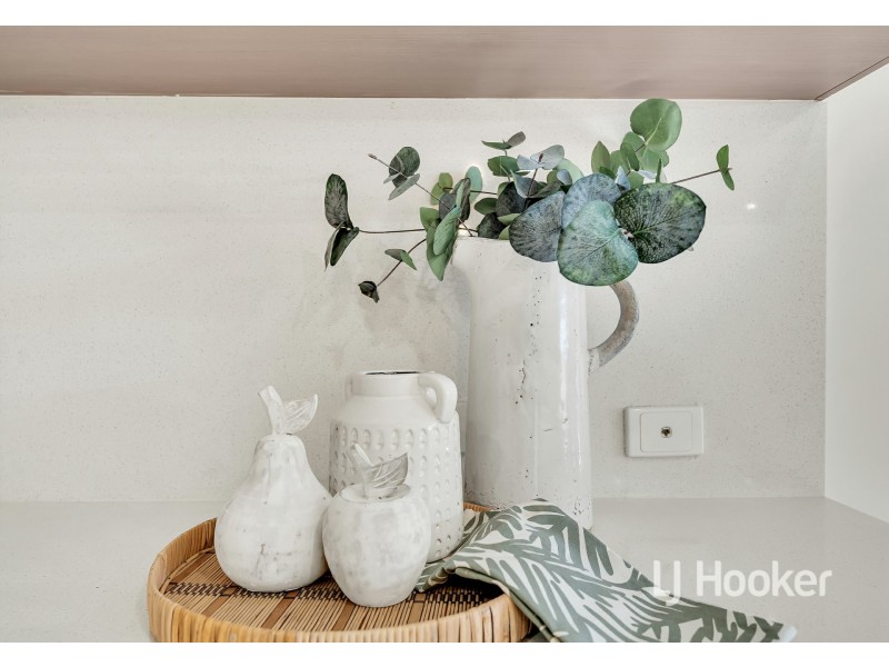 25 Nelson Crescent, Mawson Lakes SA 5095