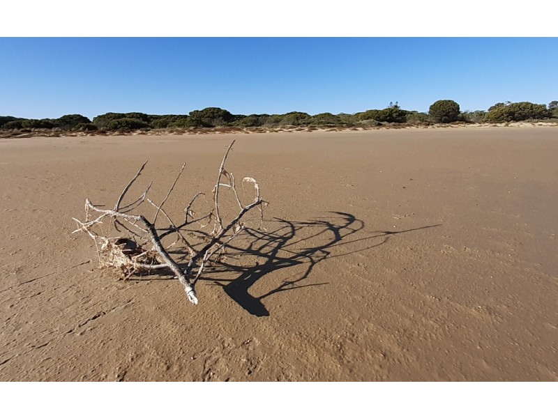 Lot 102 Coorong Lane, Coorong SA 5264