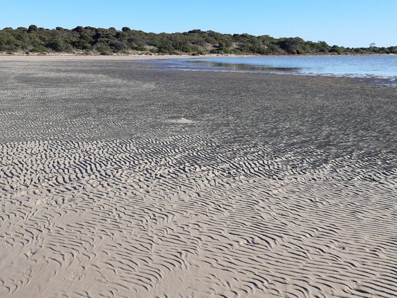 Lot 102 Coorong Lane, Coorong SA 5264