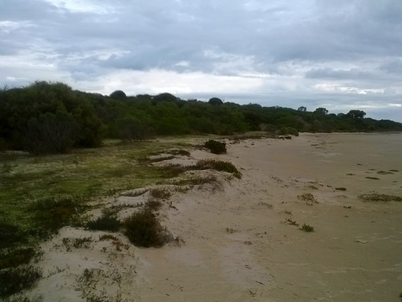 Lot 102 Coorong Lane, Coorong SA 5264