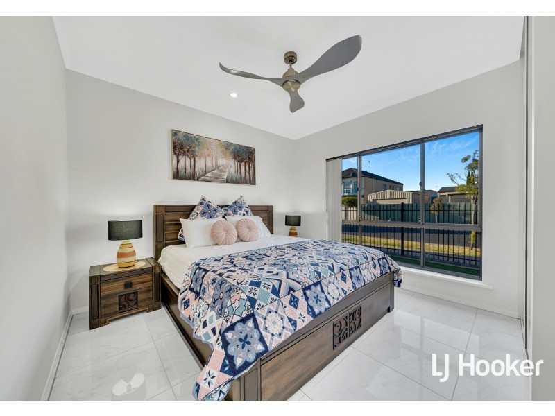 52 Shoalhaven Cct, Mawson Lakes SA 5095
