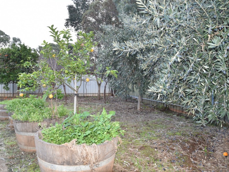 6 Barry Street, Salisbury SA 5108